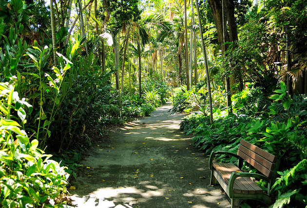 Hawaii Honolulu Foster Botanical Garden Practical Family