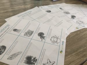 Invertebrates worksheet_2 invertebrates worksheet