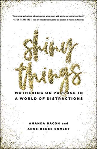 Bacon & Gumley distraction shiny things book cover