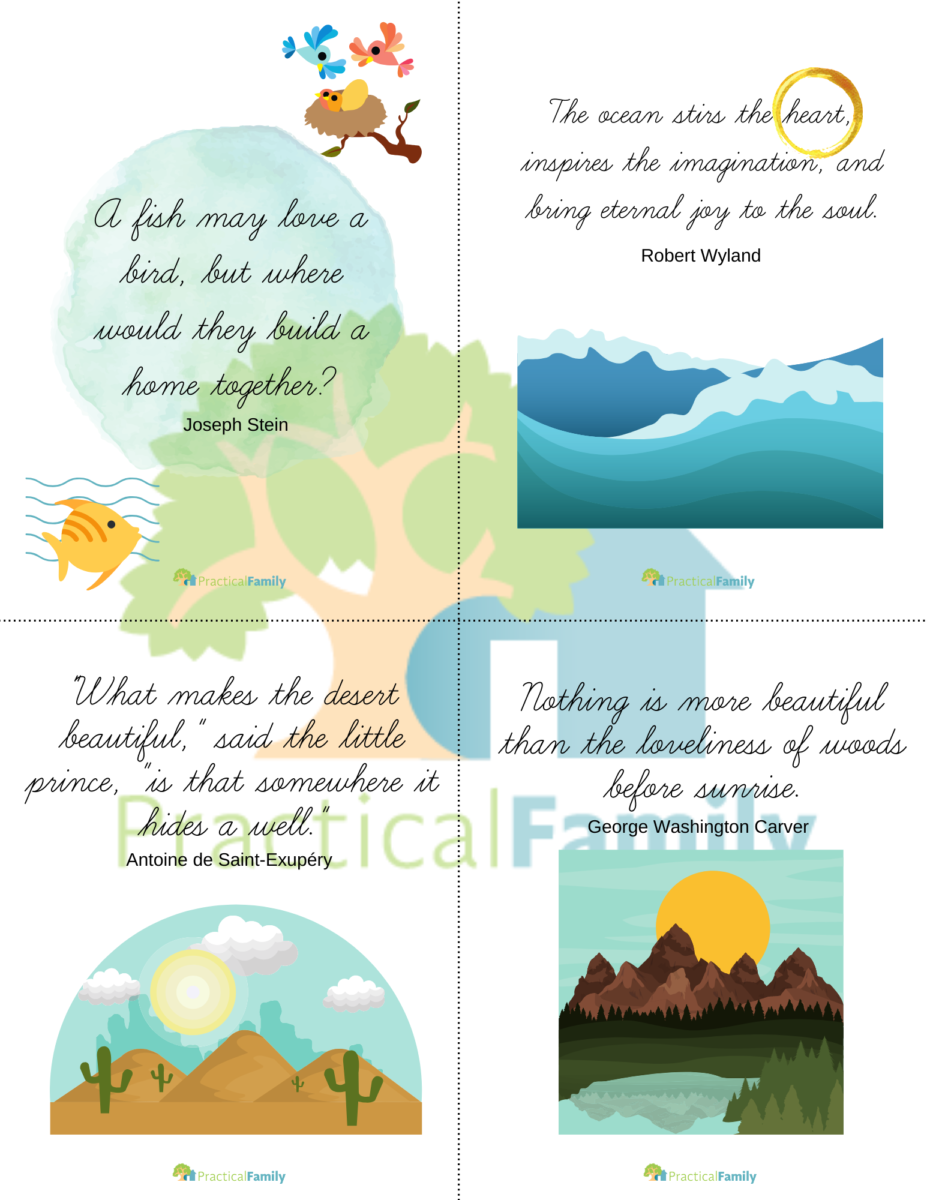 science biomes inspirational cycle 2